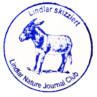 Lindlar skizziert